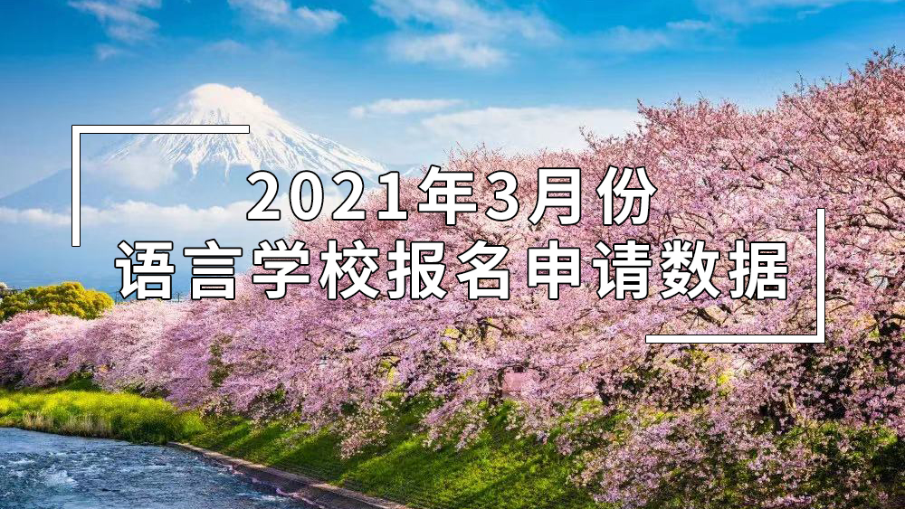 风暴娱乐学员近期都报名了哪些语言学校？