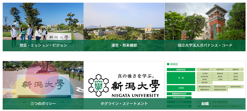 日本新潟大学的申请条件与排名怎么样？