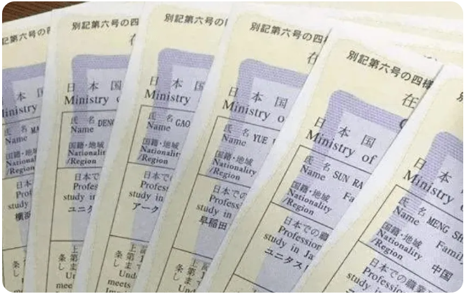 ​风暴娱乐-语言学校25年4月生在留全员下发，附10所学校特色！